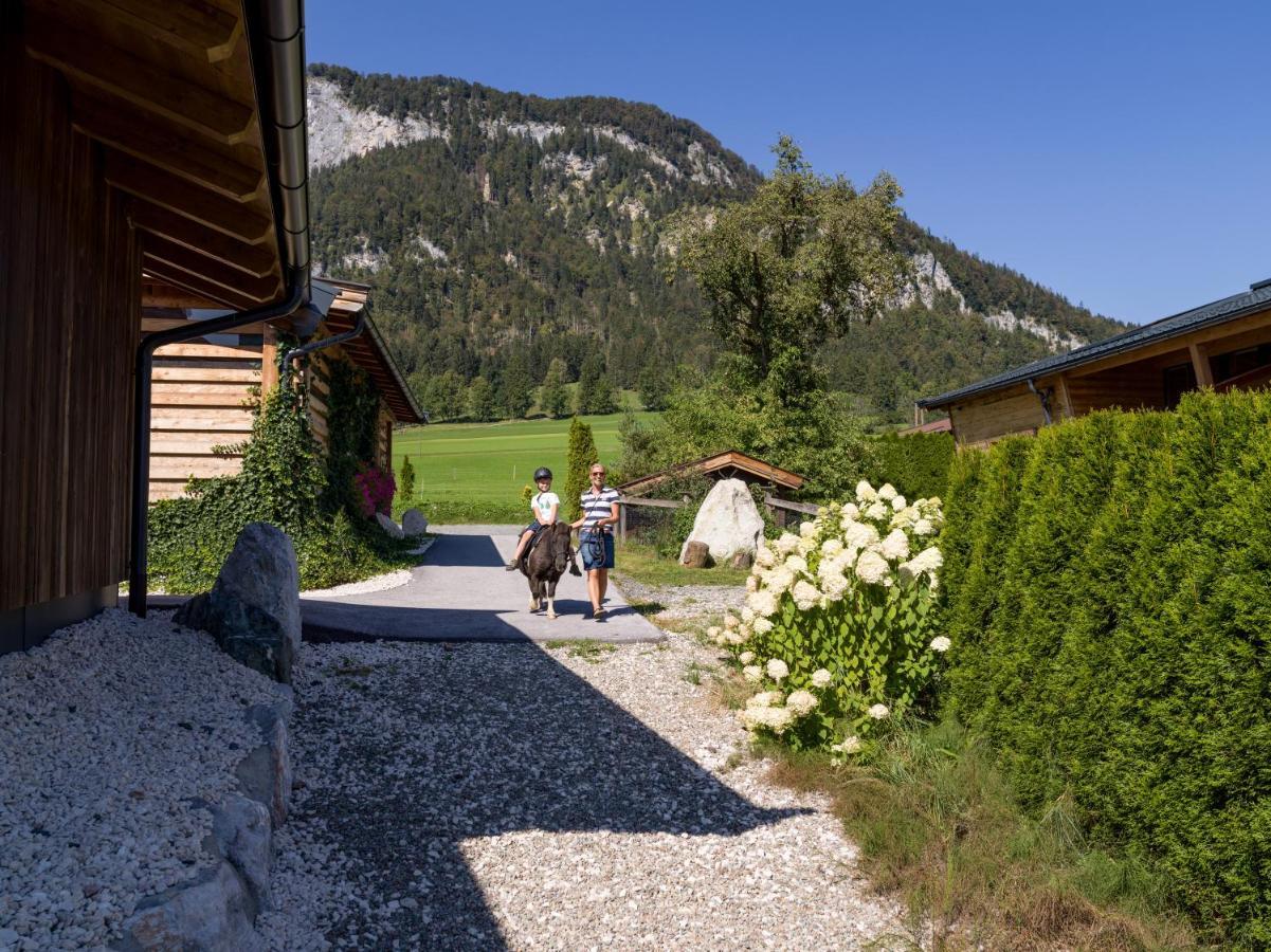Narzenhof Wellness Chalets, Familien & Luxus Apartments Am Bauernhof Санкт Йохан ин Тирол Екстериор снимка