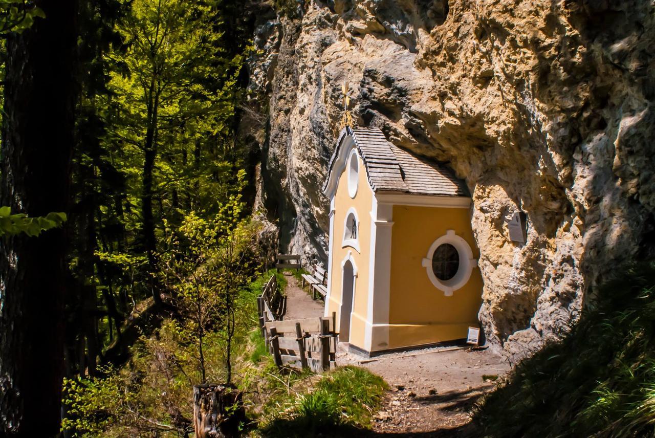 Narzenhof Wellness Chalets, Familien & Luxus Apartments Am Bauernhof Санкт Йохан ин Тирол Екстериор снимка
