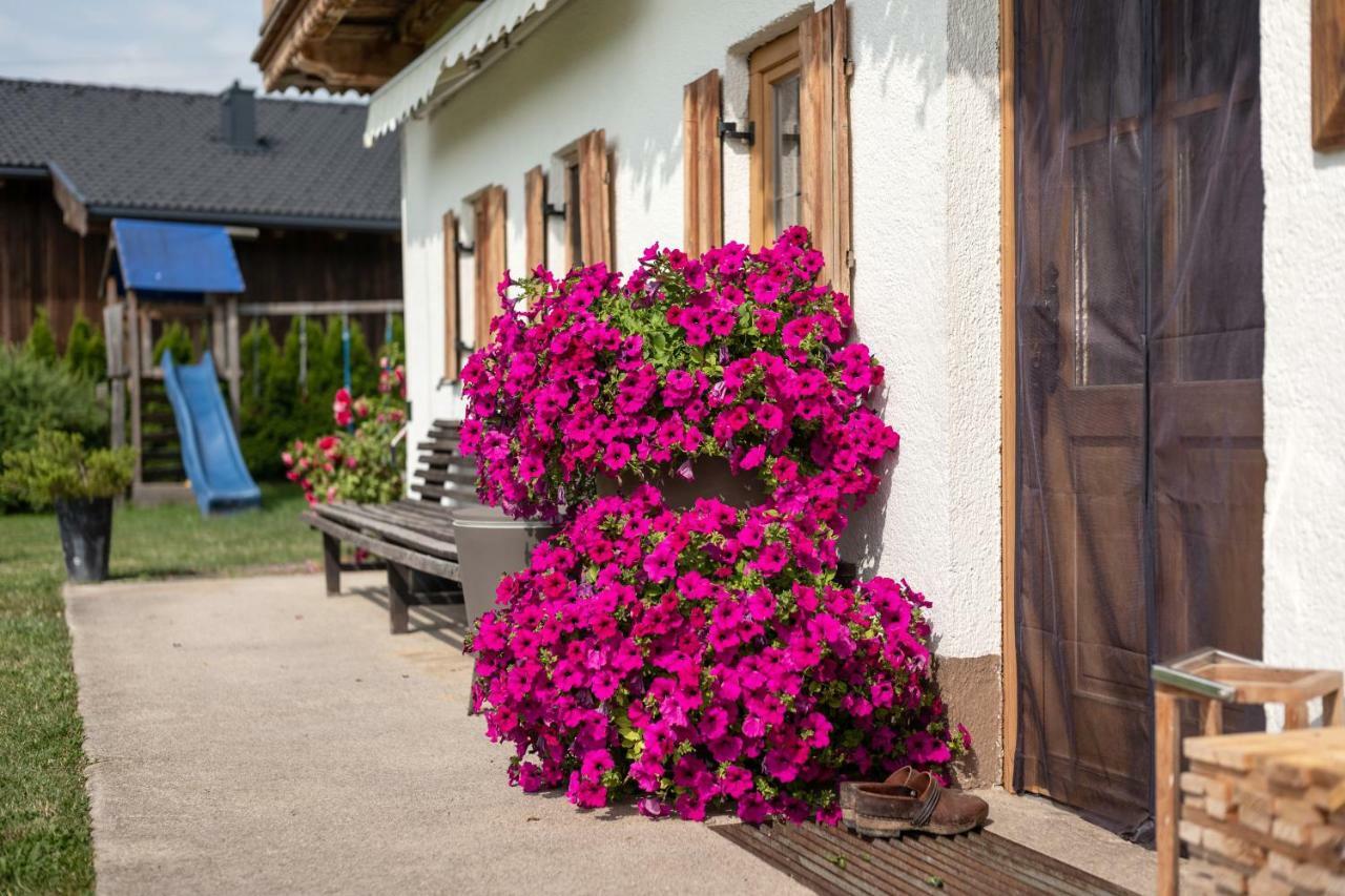 Narzenhof Wellness Chalets, Familien & Luxus Apartments Am Bauernhof Санкт Йохан ин Тирол Екстериор снимка